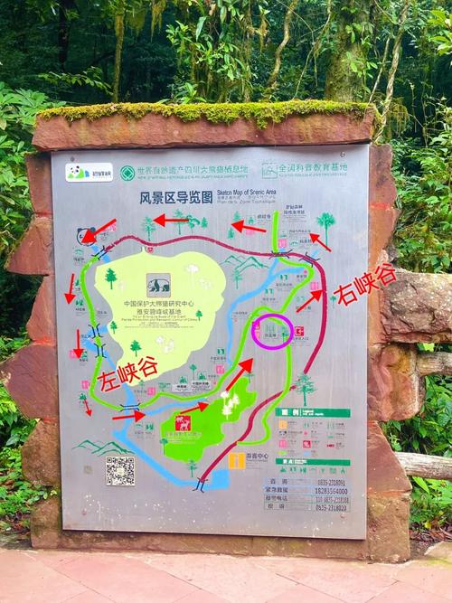 雅安碧峰峡导游词