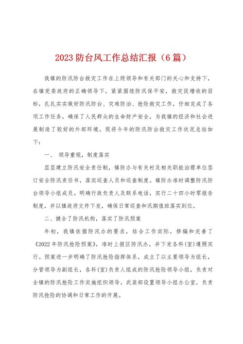 防台风措施工作总结