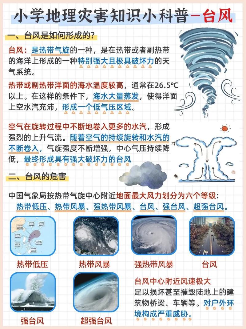 台风属于什么天气系统
