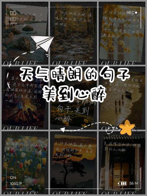 形容天气好心情好的句子发朋友圈