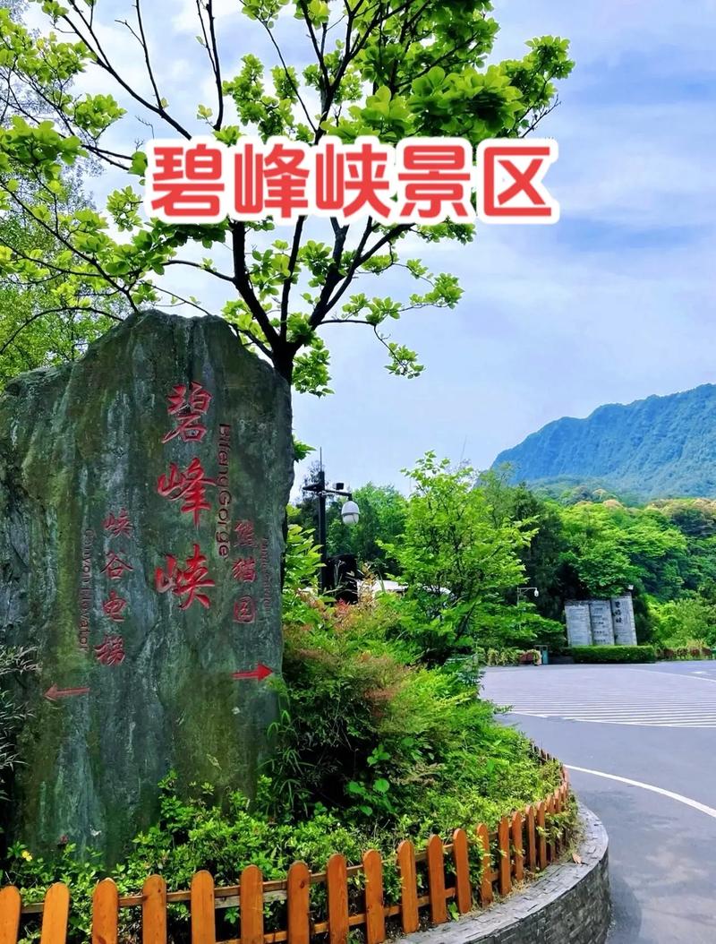 四川雅安碧峰峡熊猫景区简介概况