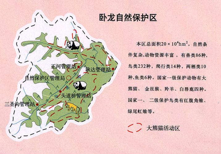 卧龙熊猫基地在四川哪里