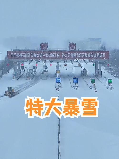 大庆暴雪最新消息大庆暴雪最新消息新闻