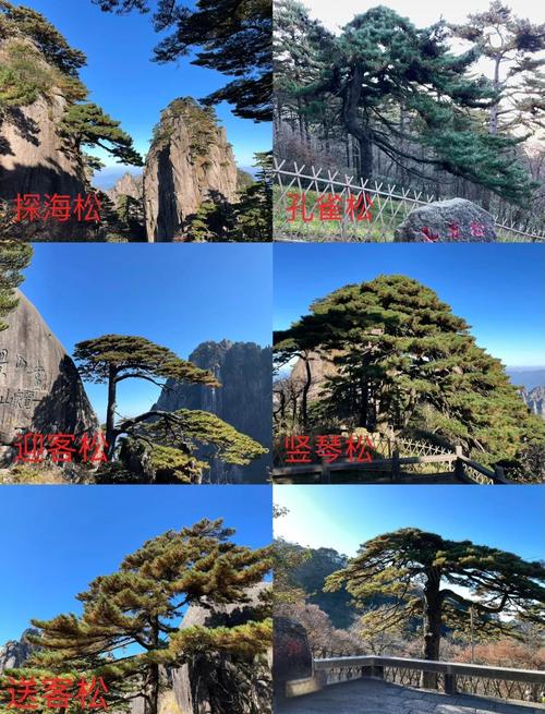 黄山附近还有什么景点