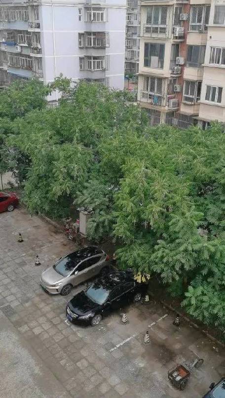昌平下雨了吗?现在