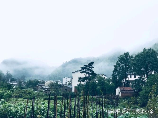 江西婺源一日游旅游攻略