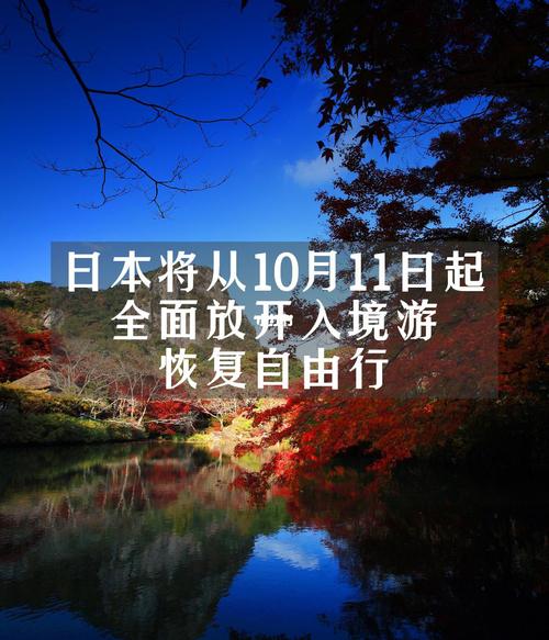 中国人每年到日本旅游消费了多少钱啊
