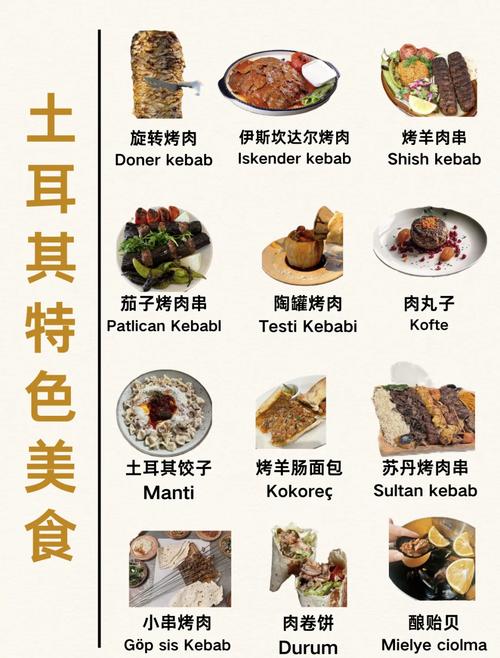 土耳其食物介绍英文版