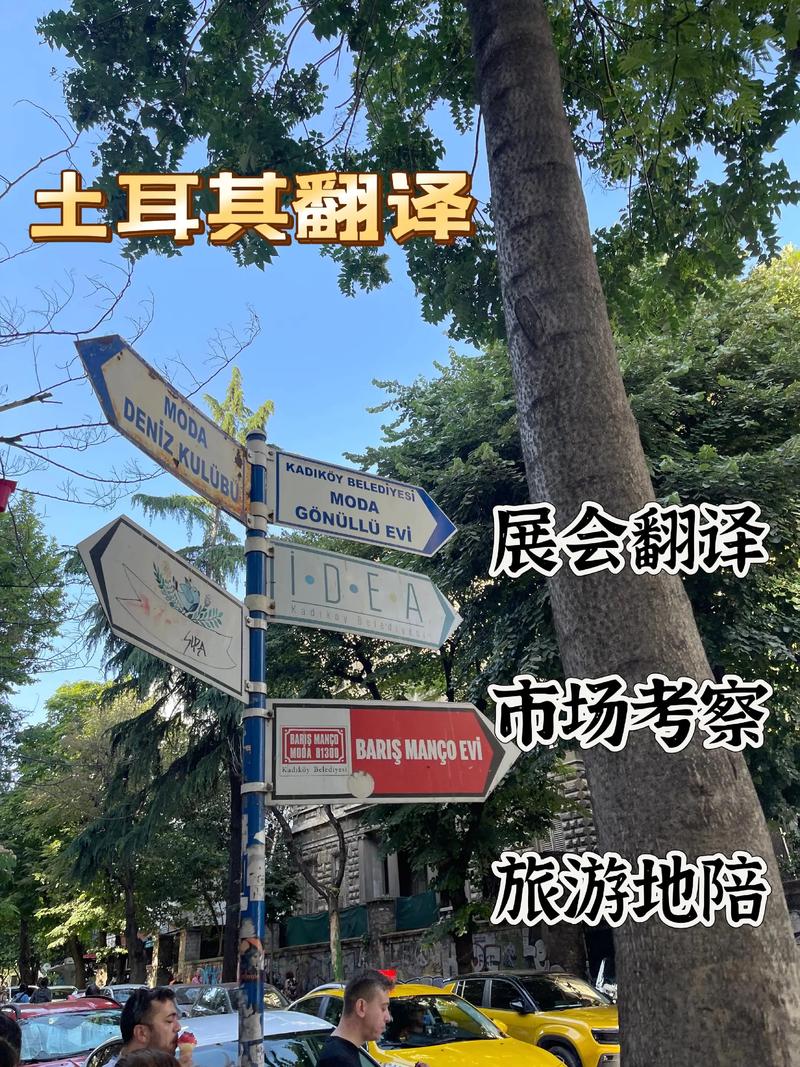 为什么土耳其被称为国中哈士奇?