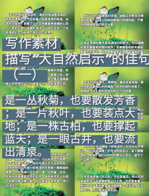 大自然的启示资料