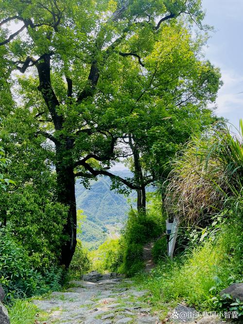 衢州江郎山一日游攻略,衢州江郎山旅游攻略