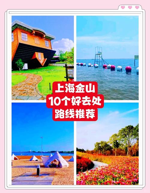 上海金山前十旅游景点