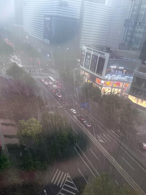上海市浦东新区有雨吗
