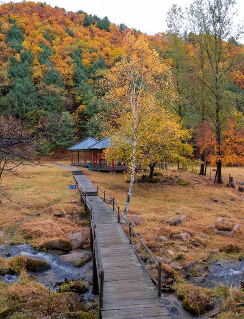 伊春旅游攻略自助游