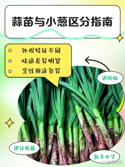 北京朝阳下雪了吗