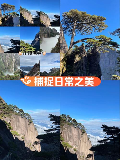 黄山游客规则20条