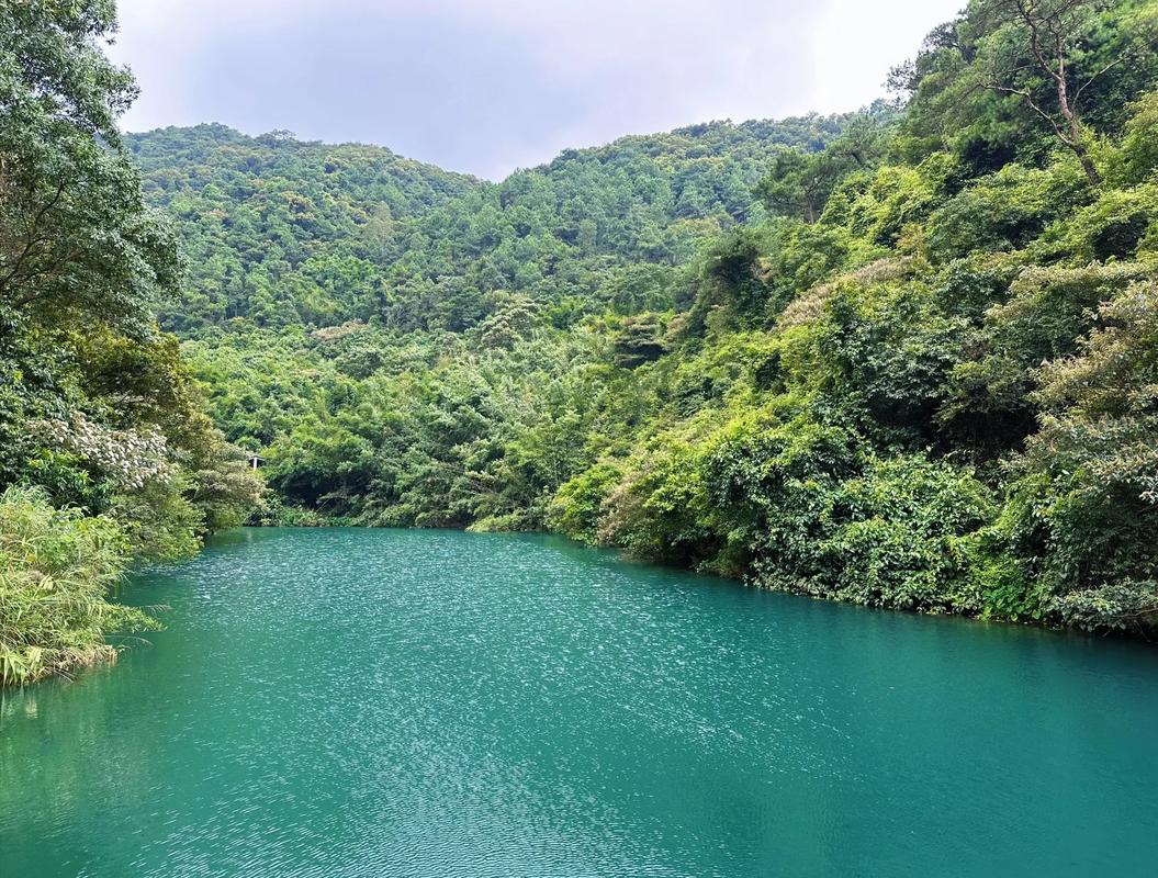 肇庆鼎湖山在哪?