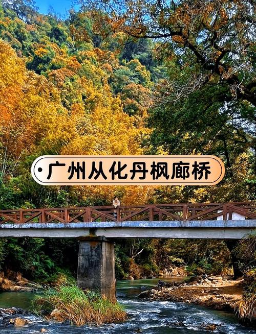 广州14号线沿途景点,从化旅游景点国内