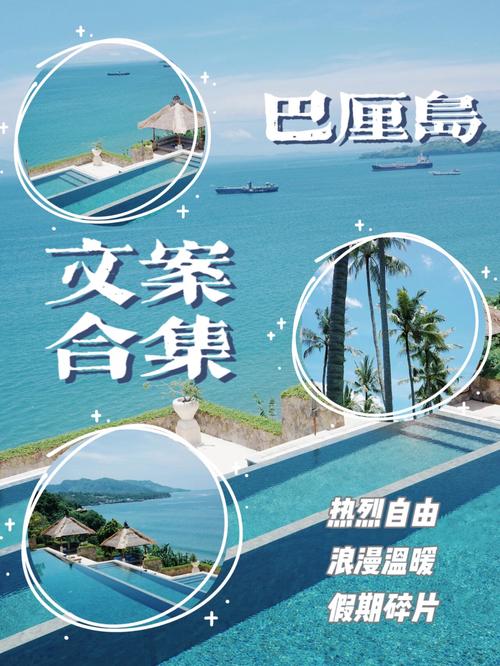 巴厘岛追海豚怎么发朋友圈