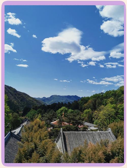 北京门头沟灵山飘雪花对农作物有影响吗?