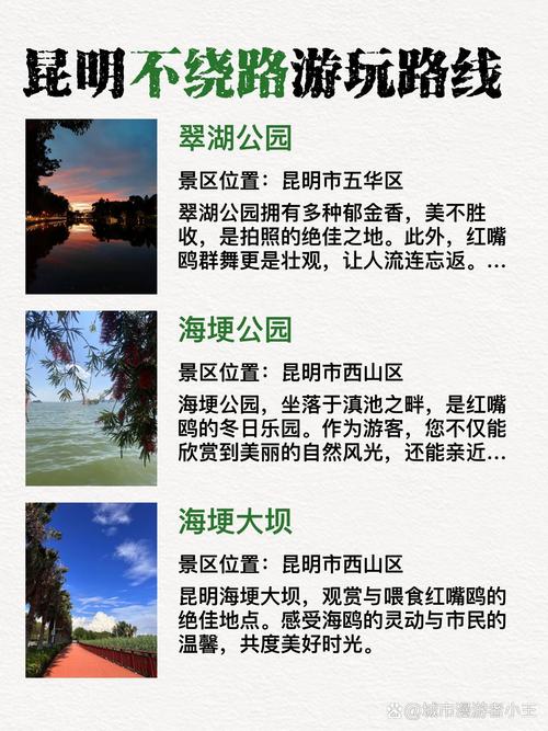 第一次去云南怎么玩?总结最全的云南游玩攻略给你们
