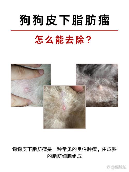 脸上随手挤出来的黄白颗粒是什么东西?