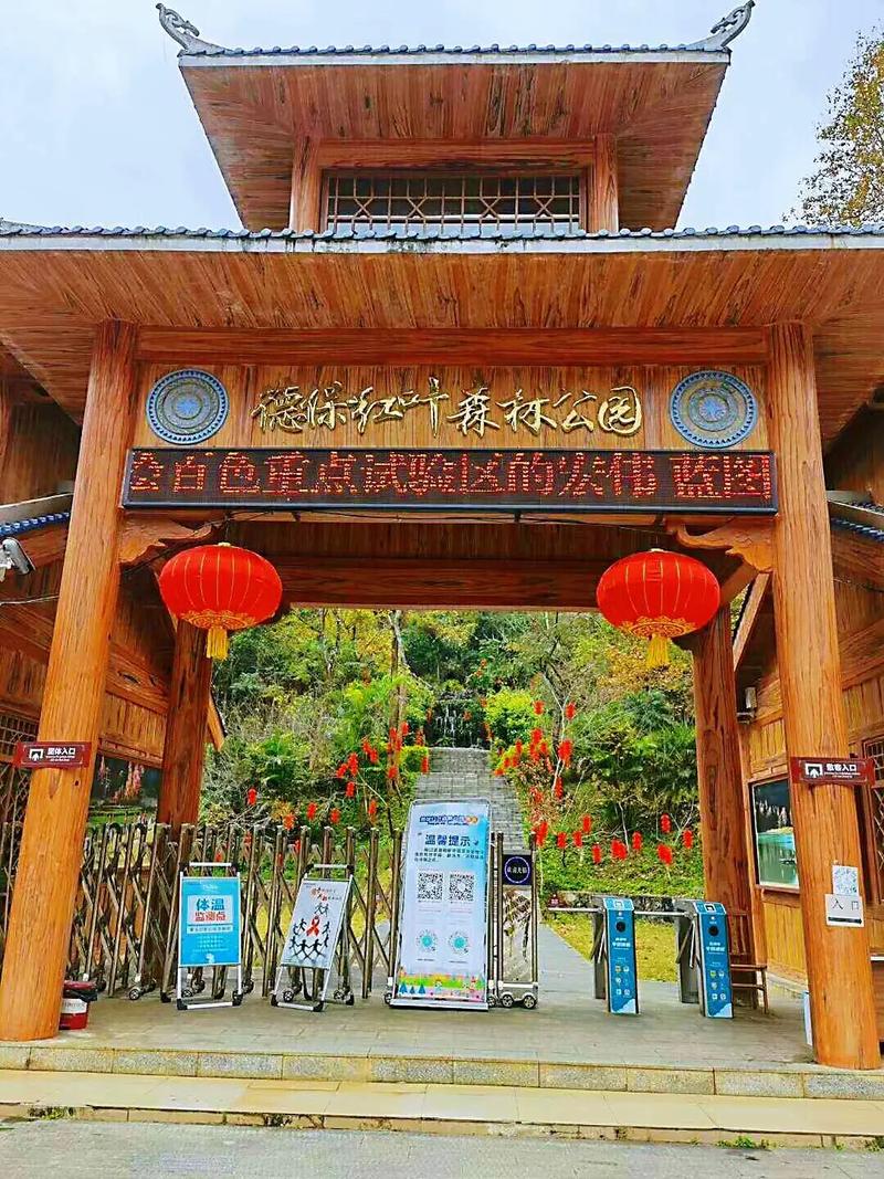 百色一日游旅游攻略百度旅游推荐目的地