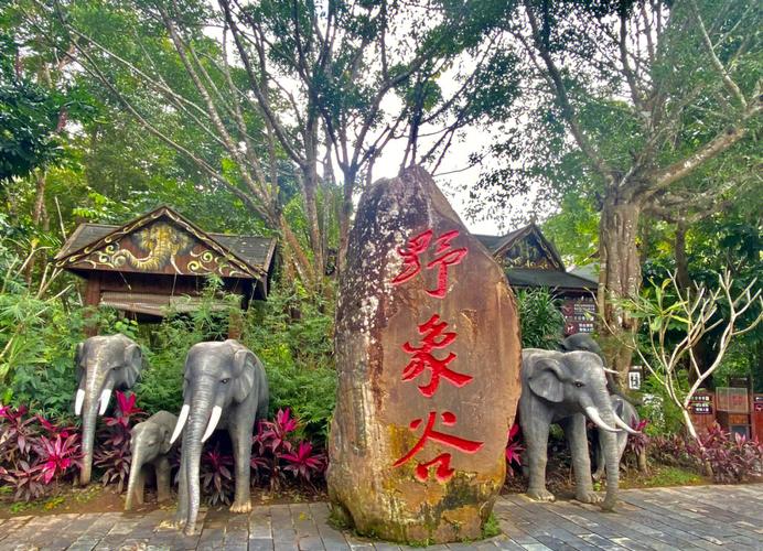 西双版纳热带雨林好玩还是野象谷好玩
