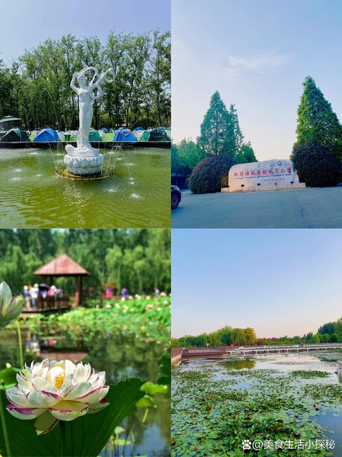 带孩子去微山湖旅游区旅行需要注意哪些事项?