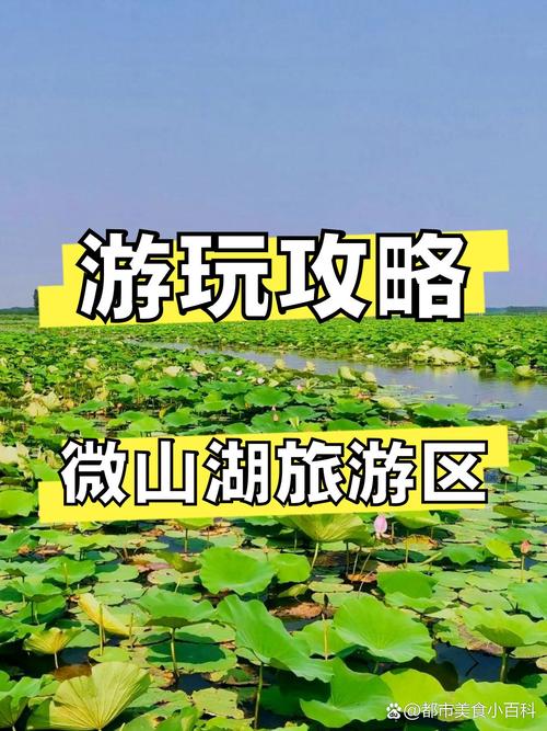 微山湖旅游区旅游,有什么注意事项需要了解?