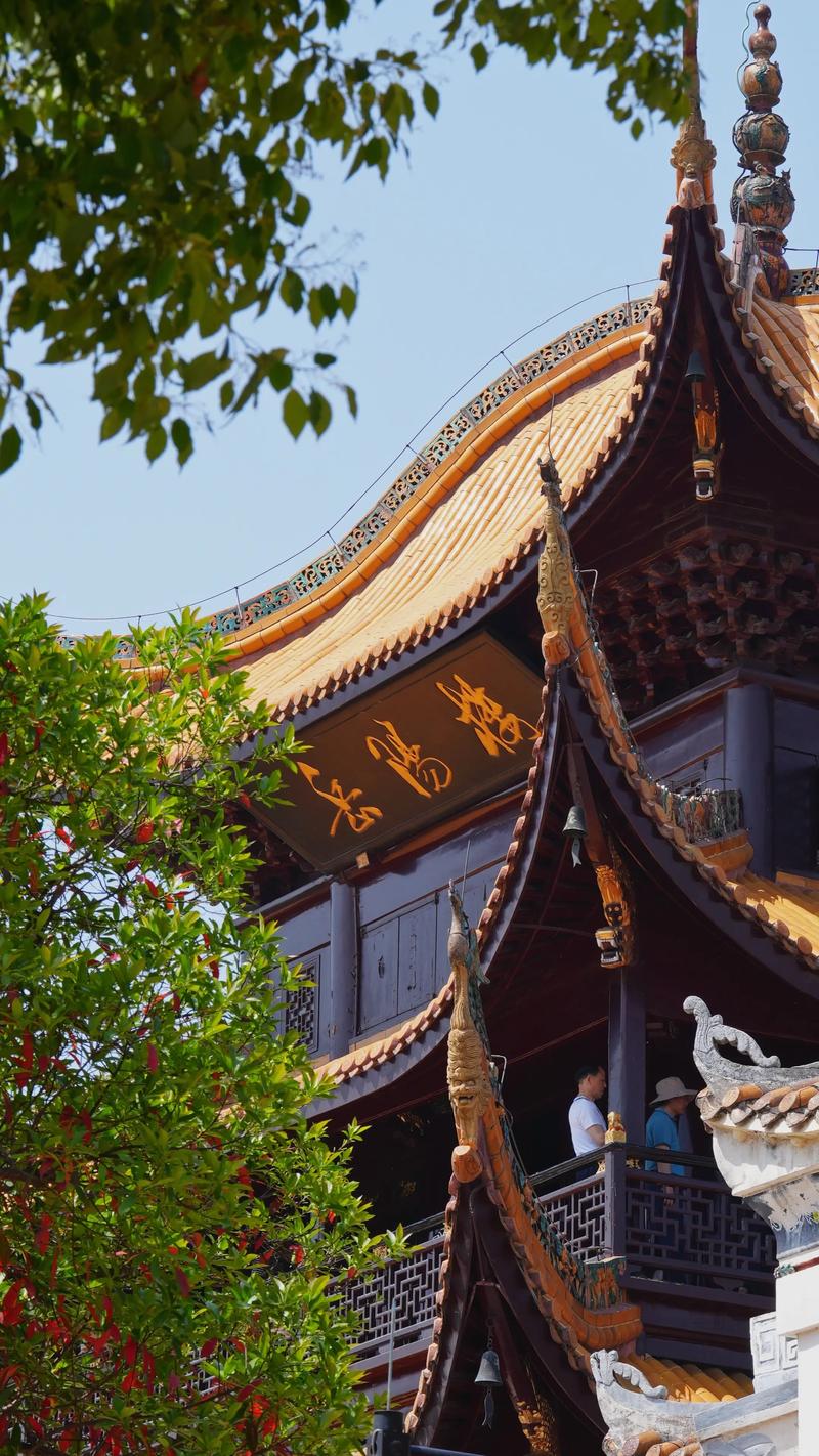 岳阳旅游必去前十景点